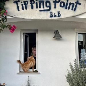 a cat sitting on a window sill next to a window at Tipping Point North Beach Nazare in Nazaré