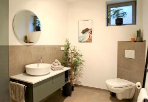 a bathroom with a sink and a toilet and a mirror at Apartmenthaus Schön in Bad Neustadt an der Saale