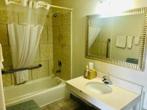 uma casa de banho com um lavatório, uma banheira e um espelho. em Royal Inn Richmond Hill- Savannah I-95 em Richmond Hill