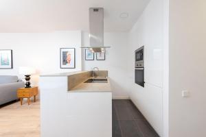 A kitchen or kitchenette at Francisco Remiro Fabulous Furnished Apartments in Guindalera