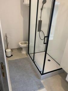 a bathroom with a shower and a toilet at 1A01-Superbe appartement lumineux netflix gratuit in Charleroi
