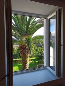 Zahrada ubytování Apartamentos Minas de Silvarosa