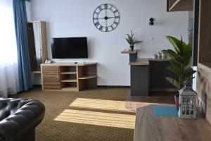 ein Wohnzimmer mit Sofa und Fernseher in der Unterkunft ApartHotel Legnica - apartamenty z aneksem kuchennym in Legnica