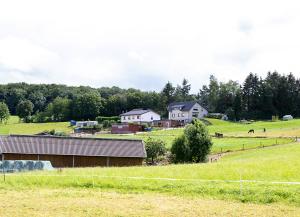 une ferme avec des maisons et des chevaux dans un champ dans l'établissement Ferienwohnung Roderath, à Nettersheim