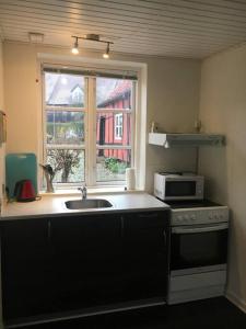 cocina con fregadero, microondas y ventana en Latinerkvarteret, en Viborg