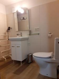 Gallery image of Old Town Apartment with a separate entrance in Kaunas +9 photos