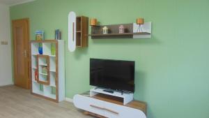 a living room with a flat screen tv on a green wall at Ferienwohnung August 18 in Gelenau