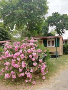 hu Firenze Certosa camping in town外面的花园