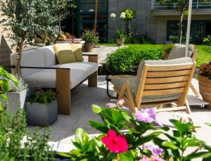 Zahrada ubytování Hotel Iris