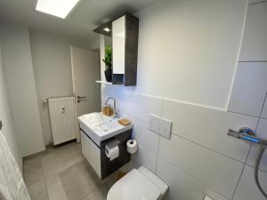 a bathroom with a toilet and a sink and a mirror at ☆FEWO ALTES KINO - MODERN - QUIET - 65M² - TV - NETFLIX - WLAN☆ in Momlingen