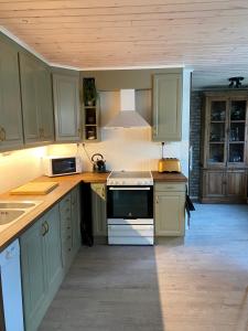 a kitchen with green cabinets and a stove top oven at Utmelandsvägen 41 Helt hus in Mora