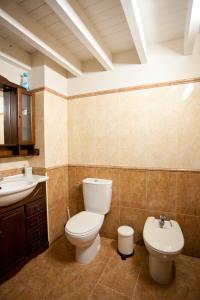 a bathroom with a toilet and a sink at El Balcon del Horreo in Piloña