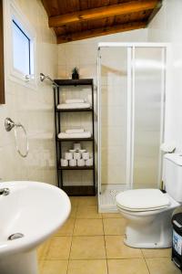 a bathroom with a toilet and a shower and a sink at Sophias Cottage in Askas