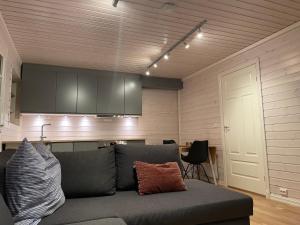 a living room with a couch and a kitchen at Spacious 50 sqm apartment close to city centre! in Tromsø