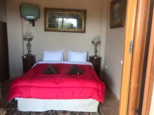 a bedroom with a bed with a red blanket at Petropanagia in Elatochori