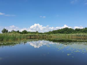 een lichaam van water met bomen en wolken in de lucht bij Lütt Hütt in Rechlin