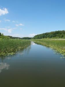 une rivière avec de l'herbe haute sur son côté dans l'établissement Lütt Hütt, à Rechlin