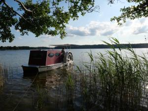 a boat on a lake with a person on it at Lütt Hütt in Rechlin