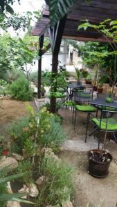Zahrada ubytování Bed & Breakfast Dora