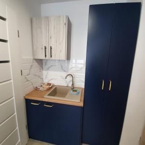 Kuchnia lub aneks kuchenny w obiekcie Ice Apartments