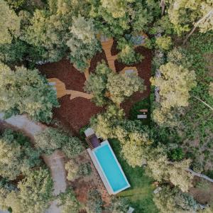 a green field with a bunch of plants and trees at Luz Charming Houses in Fátima