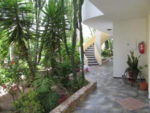 a courtyard with trees and plants in a building at Afentoulis Studios 2 in Kefalos
