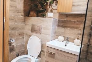 Vannituba majutusasutuses Apartman TRAG Divčibare