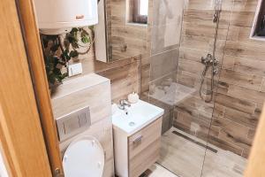 Vannituba majutusasutuses Apartman TRAG Divčibare