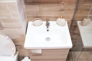 Vannituba majutusasutuses Apartman TRAG Divčibare
