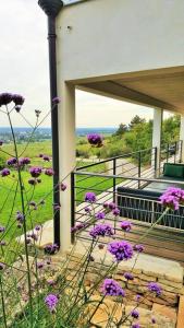 een veranda van een huis met paarse bloemen bij La Maison de l'Ecu : charme et vue incroyable in Beaune