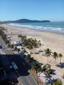 eine Luftblick auf einen Strand mit Palmen und das Meer in der Unterkunft Vista em Frente ao Mar em Guilhermina in Praia Grande