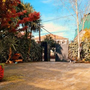 Fotografie z fotogalerie ubytování Merabi Guest House v destinaci Makhinjauri