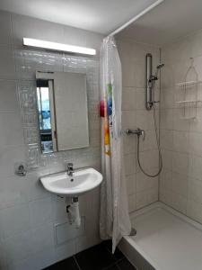 Koupelna v ubytování smartroom Rössli Hunzenschwil