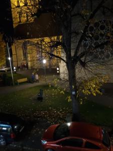 una macchina rossa parcheggiata accanto a un albero di notte di Hotel Zur Krone a Nordwalde