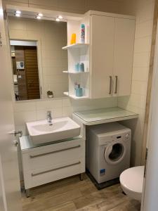 a bathroom with a sink and a washing machine at Vila Apartment Bled Lake in Bled +45 photos