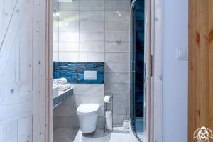 a bathroom with a toilet and a sink at Agroturystyka Corno Owca in Żabnica