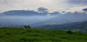 Fotografie z fotogalerie ubytování Posada Martha Tolima v destinaci Salento