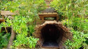 un tunnel au milieu d'une forêt d'arbres dans l'établissement Orchid House Tulum, à Tulum