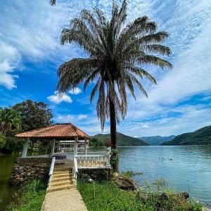 a palm tree and a gazebo next to a lake at Cabaña en Prado Tolima in Prado