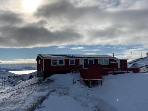 dom na szczycie pokrytego śniegiem wzgórza w obiekcie isi4u hostel, dogsled, snowmobiling w Sisimiut