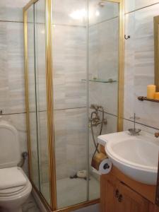 a bathroom with a shower and a toilet and a sink at Merlot Village Rental Apartments in Kariá