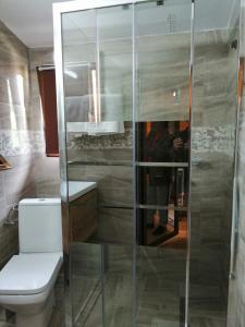 a bathroom with a toilet and a glass shower at Casa Serban in Durau