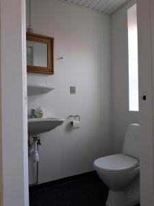 een badkamer met een toilet en een wastafel bij Latinerkvarteret in Viborg
