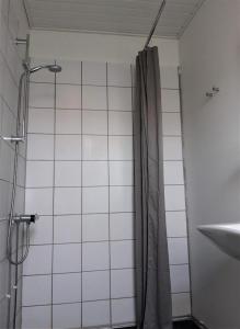 y baño con ducha y cortina de ducha. en Latinerkvarteret, en Viborg
