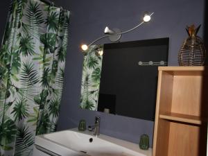 a bathroom with a sink and a large mirror at Studio Chamrousse, 1 pièce, 4 personnes - FR-1-340-108 in Chamrousse