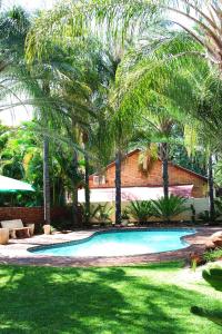 a swimming pool with palm trees in a yard at De la Rose Guesthouse in Lephalale