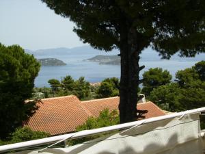 Príroda v okolí apartmánu