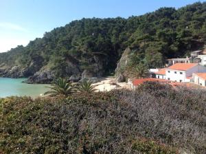 a view of a beach with houses on a hill at Residence Cala delle Arene in San Domino