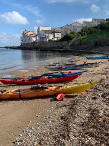 a group of kayaks lined up on a beach at Little Gem in Swanage