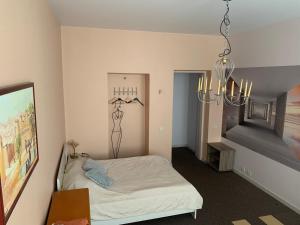 um quarto com uma cama e um lustre em Sija's house em Kaunas